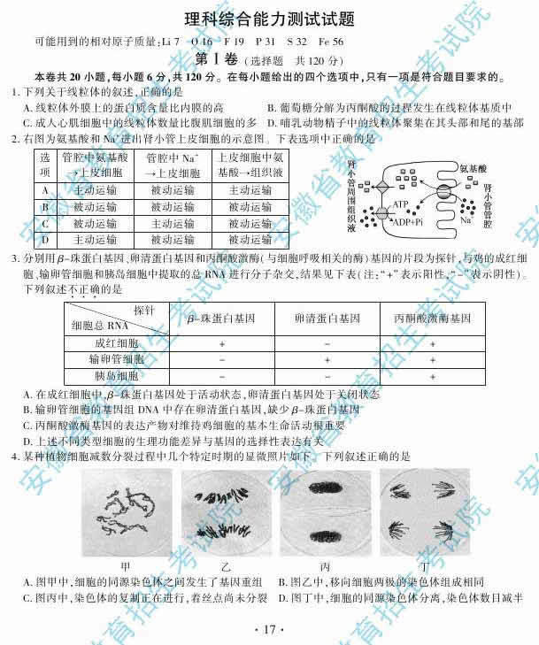 2014갲ո߿⼰𰸣ͼƬ棩