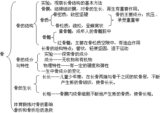 八年级生物教案之骨教案示例_生物教案