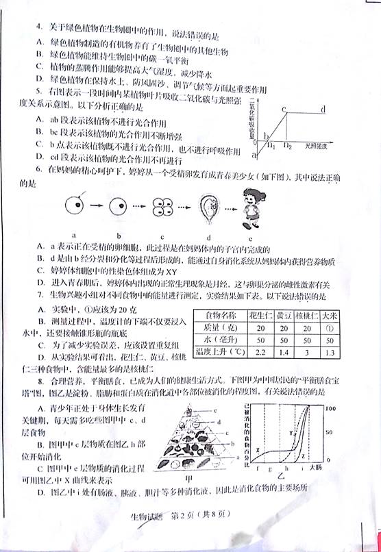 2015ɽп