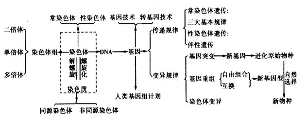 2,问:(高考) 生物:1,染色体和姐妹染色单体区别?